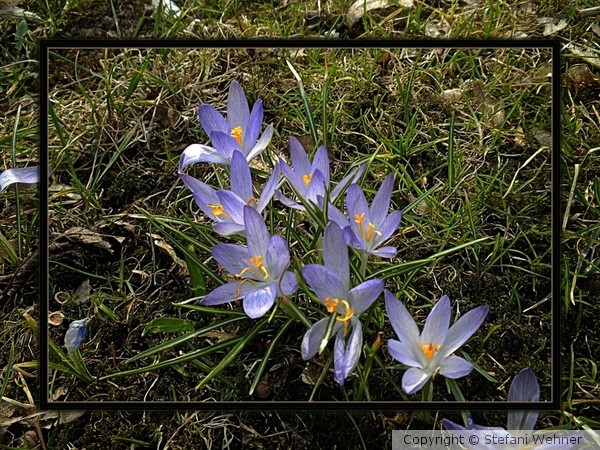 spring time
