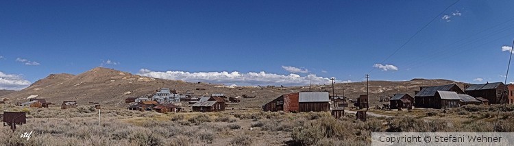 BODIE