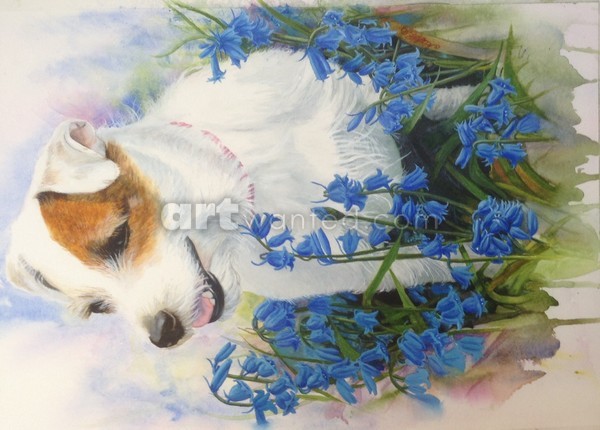 Lucy in the bluebells