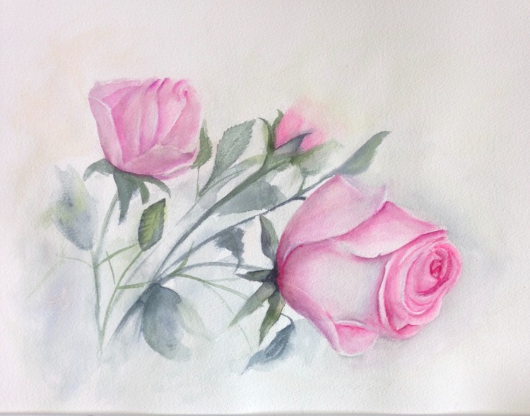 Pink Roses