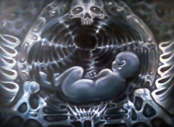 THE INCUBATOR