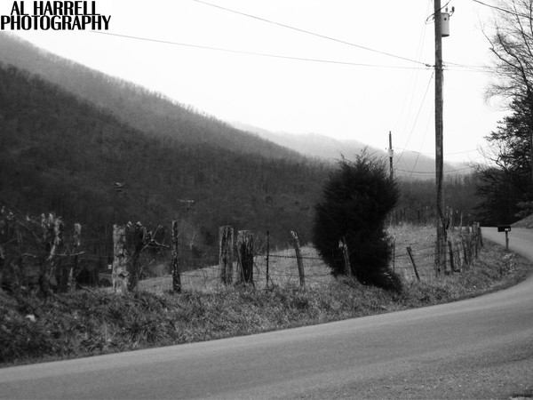 Tennessee Mountain Road