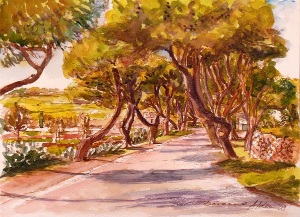 Country Lane