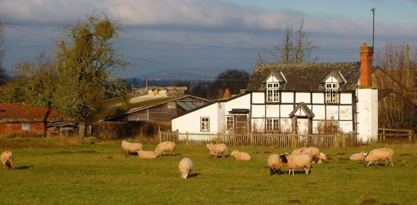 Herefordshire Cottage.