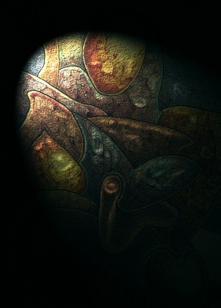 Light