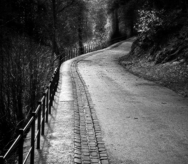 The Path