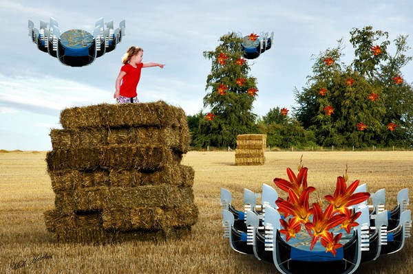 Hay bales at Harvest time
