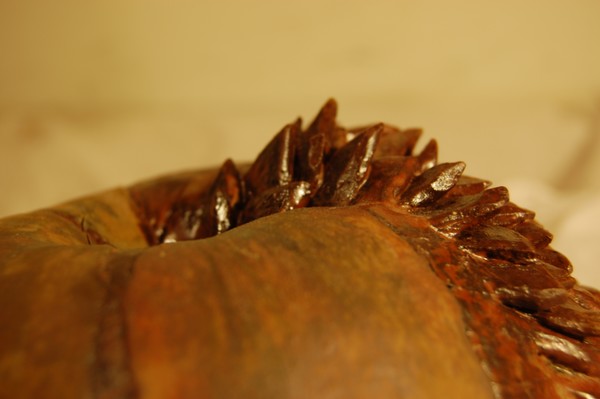 Porcupine Apple (Close-up)