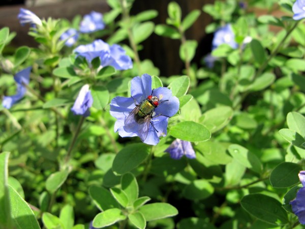 IMG 3573 resize