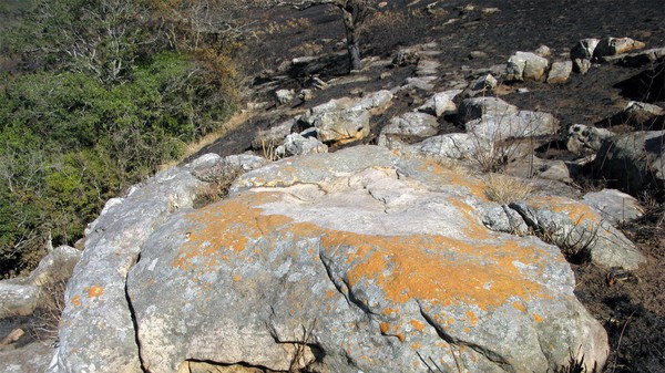 Rock001