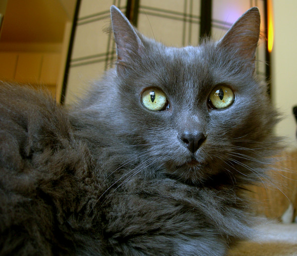  Mom, if I See this Camera One More Time...