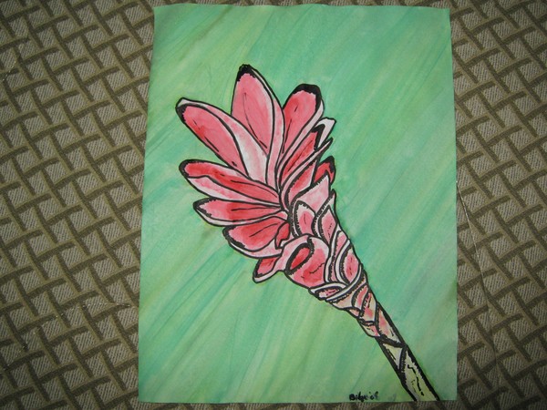 Lone Ginger in Color