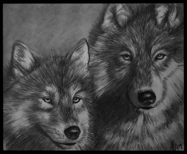 Wolves