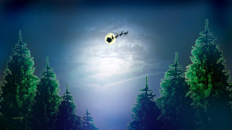 Santa's Night