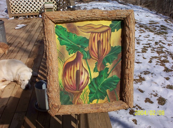 jack in the pulpit