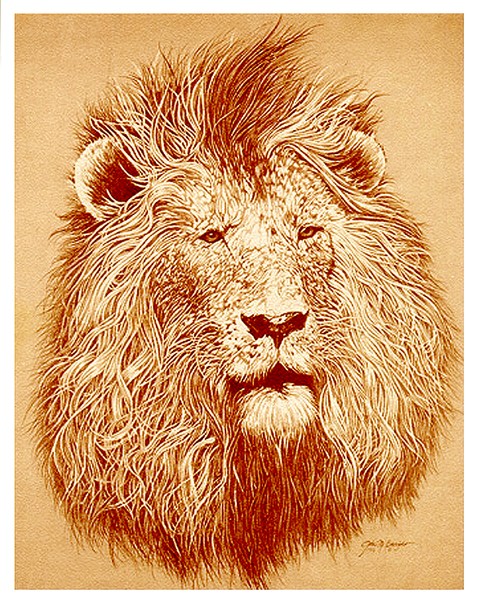 The Jungle Lord