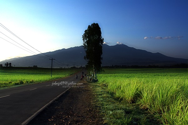Road to DSB
