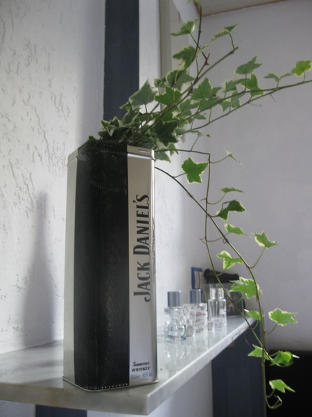 Jackyplant ;-)