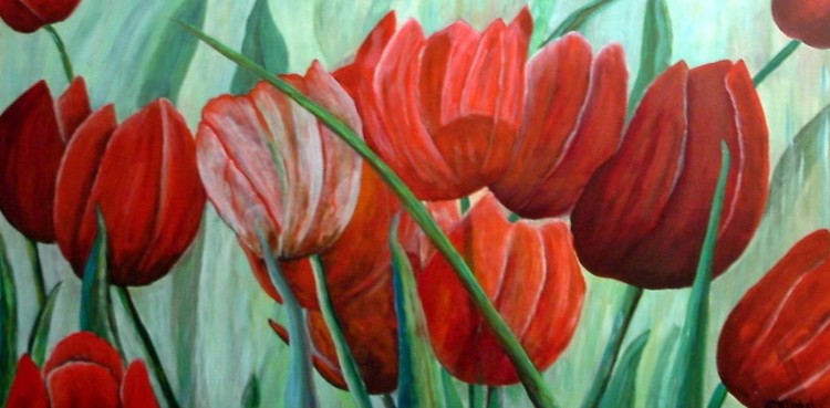 Tulpenveld