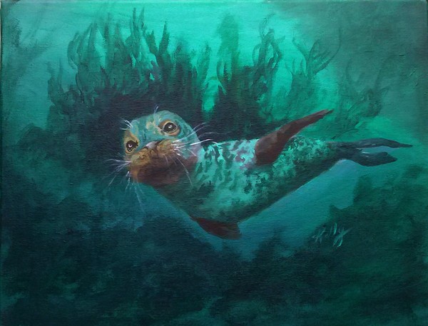 Happy Seal Pup