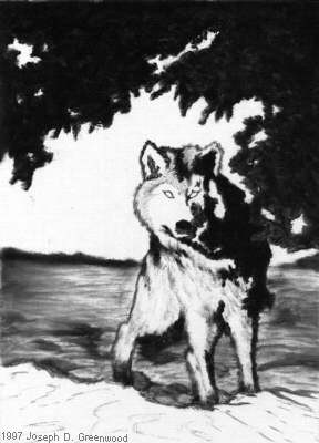 Wolf