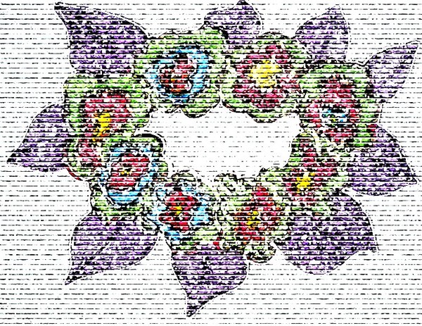 Fleurs 044