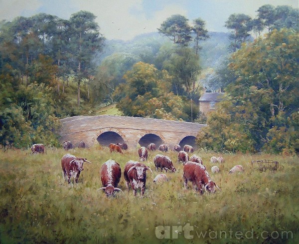 Longhorns at Pauperhaugh