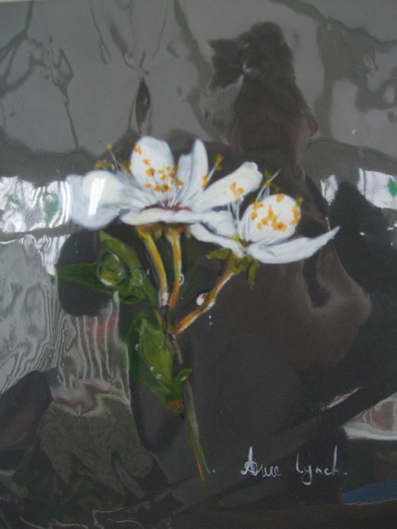 DSCF1215