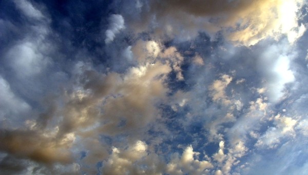 Untitled 5