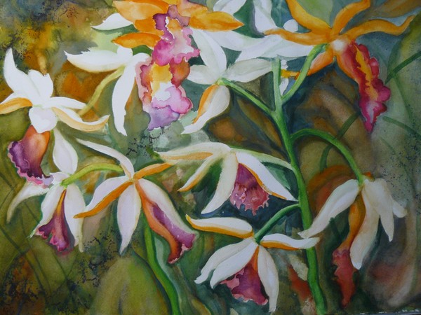 wild orchids