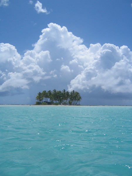 Tahiti dreamin.