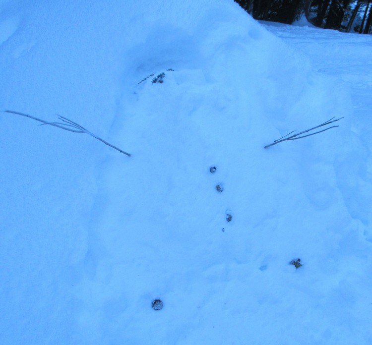 EXHAUSTED SNOWMAN!!!!