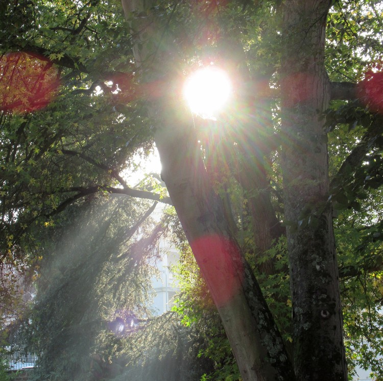 DIVINE RAYS 2