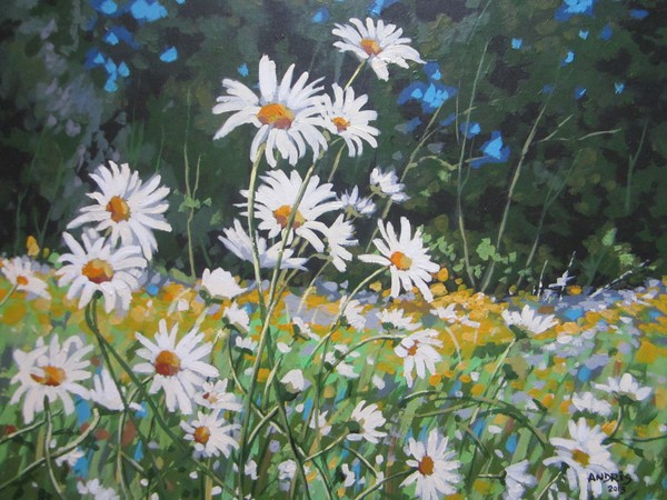 Daisies Whispering