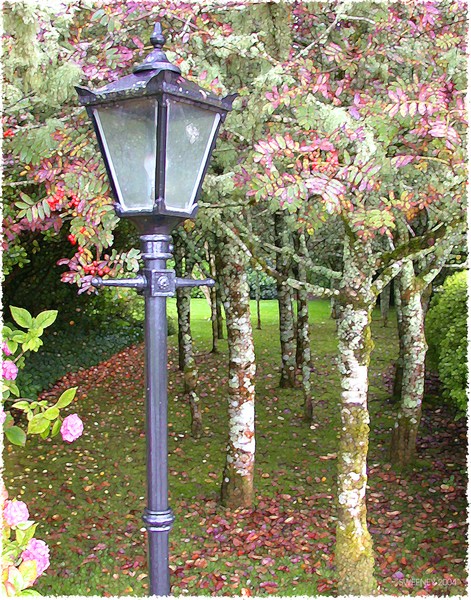 LAMP POST-IRELAND