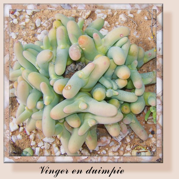 Vinger-en-duimpie (Finger and thumb)