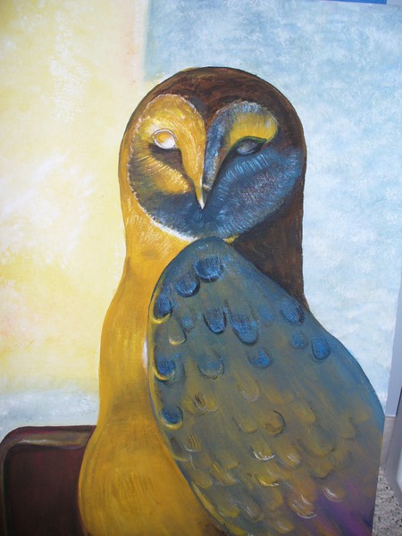 owl