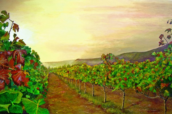 Autumn at Steenberg Vineyard
