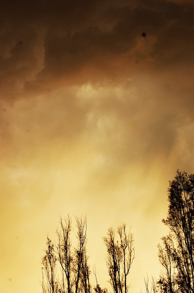 At Sunset2