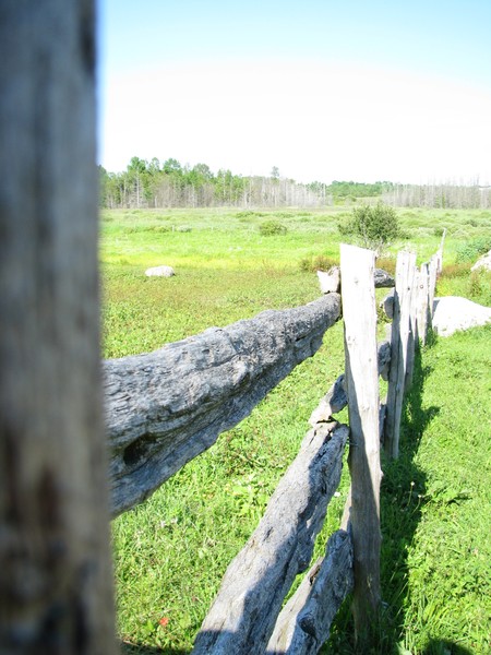 The Old Fence