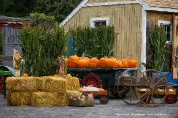 Fall