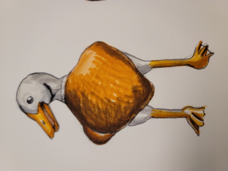 Duck