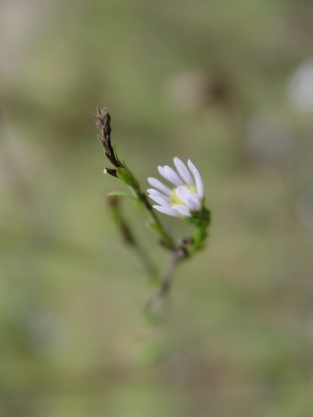 Reaching For You!