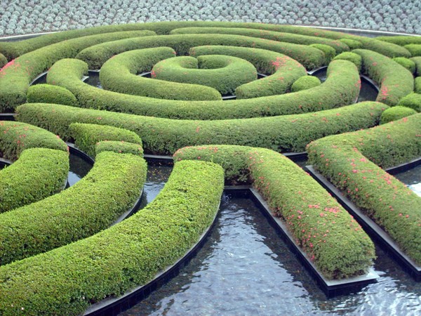 Getty Museum Watergarden