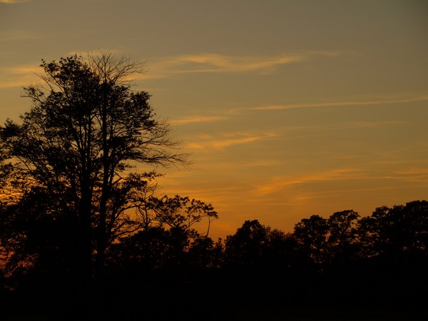 Sun Down