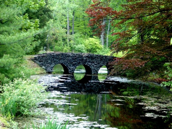 Old Stone Bridge