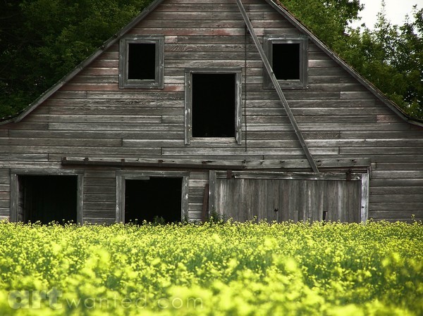 FLOWERS FLOOD BARN