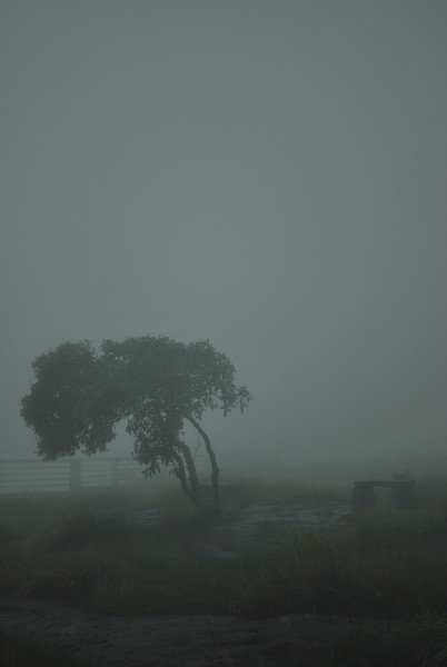 The wettest place on planet Earth