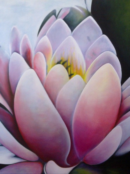 Water Lily