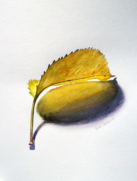 Fall Leaf